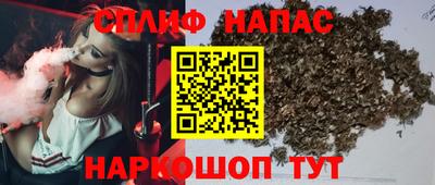 jwh Дубна